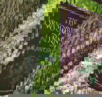 The Woodbine Inn - Accommodation Dallas