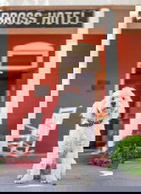 Paonia Co Accommodation Dallas