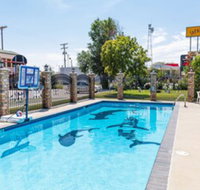 Safari Inn - Accommodation Dallas