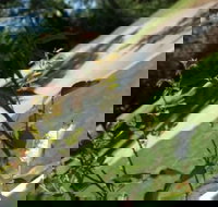 Serenity Pointe Bed  Breakfast - Accommodation Dallas