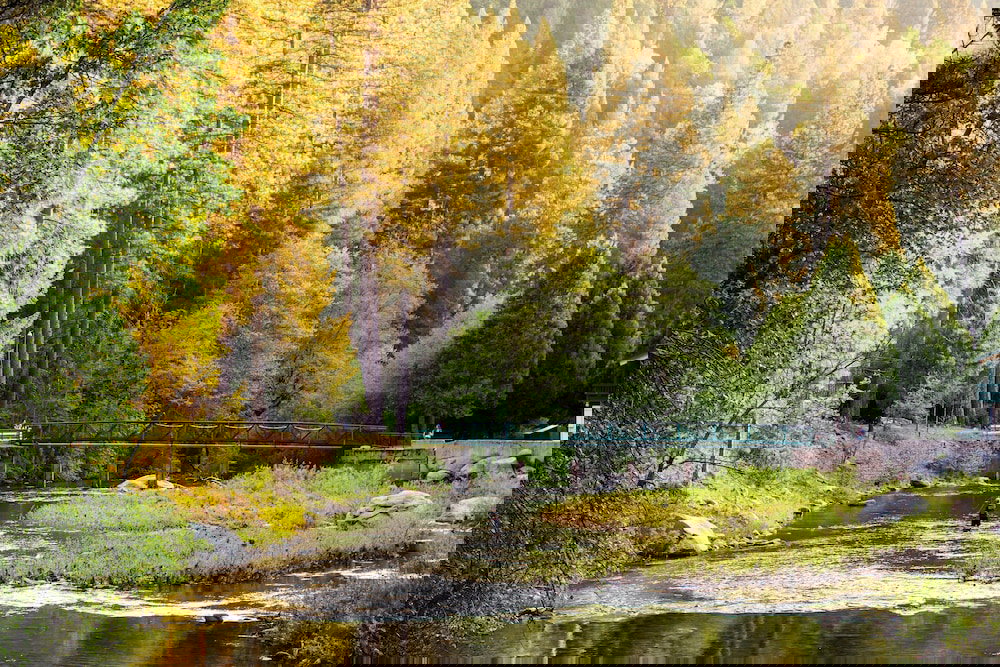 Yosemite Lakes RV Resort - thumb 0