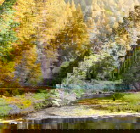 Yosemite Lakes RV Resort - Accommodation Dallas