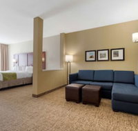 Comfort Suites Greenville South - Accommodation Dallas