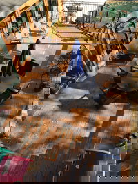 Book Cities Accommodation Vacations, Accommodation Dallas Accommodation Dallas