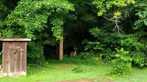 Smokies Cozy Country Cabin - thumb 0