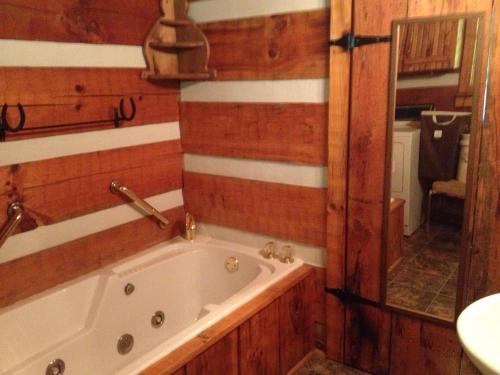 Smokies Cozy Country Cabin - thumb 6