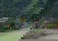 Denali Tri-Valley Cabins