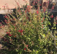 Redhen Rental Near Zion National Park - Accommodation Dallas