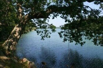 Sweet Grass - Two Bedroom Home - thumb 2