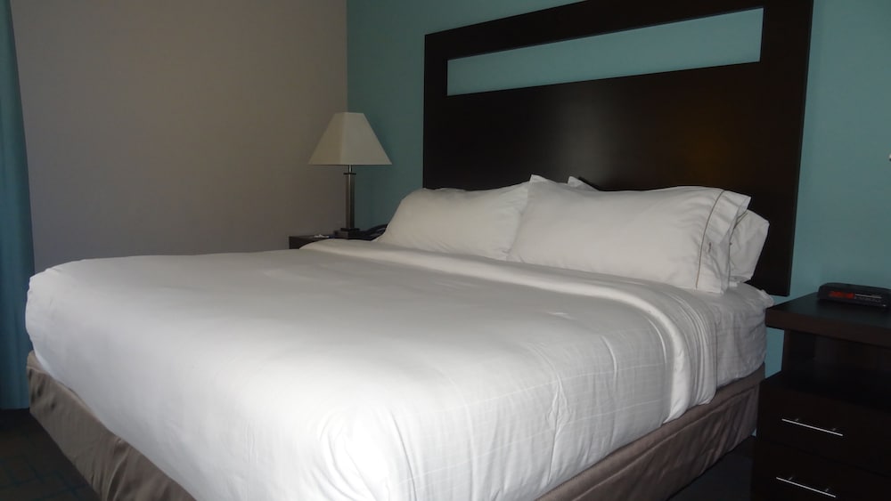 Holiday Inn Express Kansas City-Bonner Springs, An IHG Hotel - thumb 6