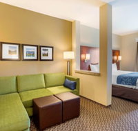 Comfort Suites Burlington near I-5 - Accommodation Dallas