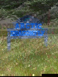 Arctic Dragonfly Inn