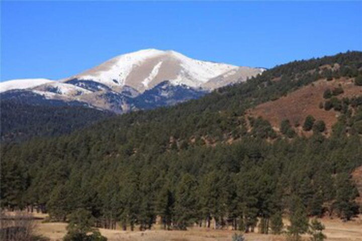 Cozy Knotty & Nice Four Bedroom Cabin - thumb 2