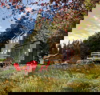 Clydesdale Outpost - Accommodation Dallas