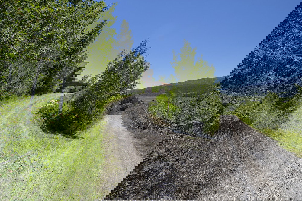 Alpine Recharge - thumb 2