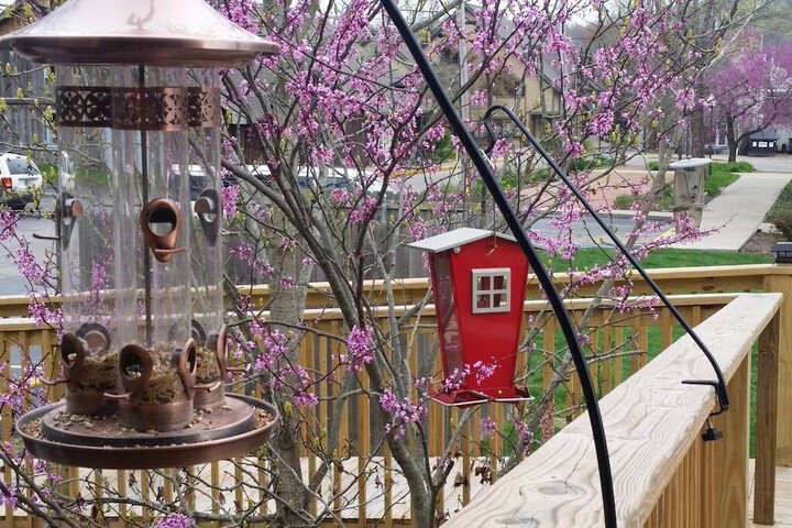 The Iris Garden Downtown Cottages And Suites - thumb 6