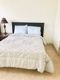 396 Piedmont Avenue Northeast Accommodation Dallas