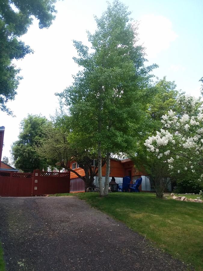 Lava Hideout Cabins - thumb 9