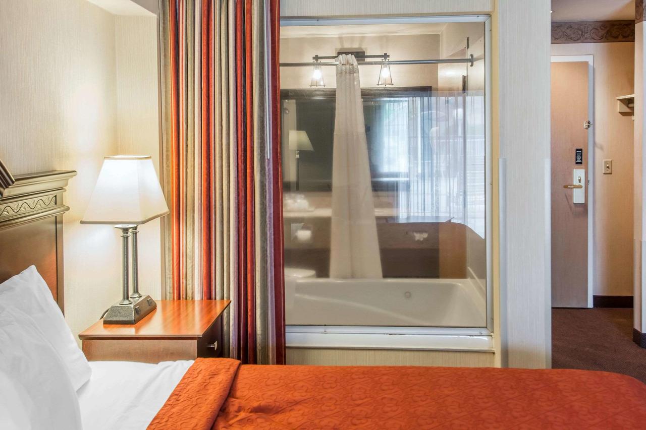 Quality Inn & Suites Conference Center Clarkston - thumb 23