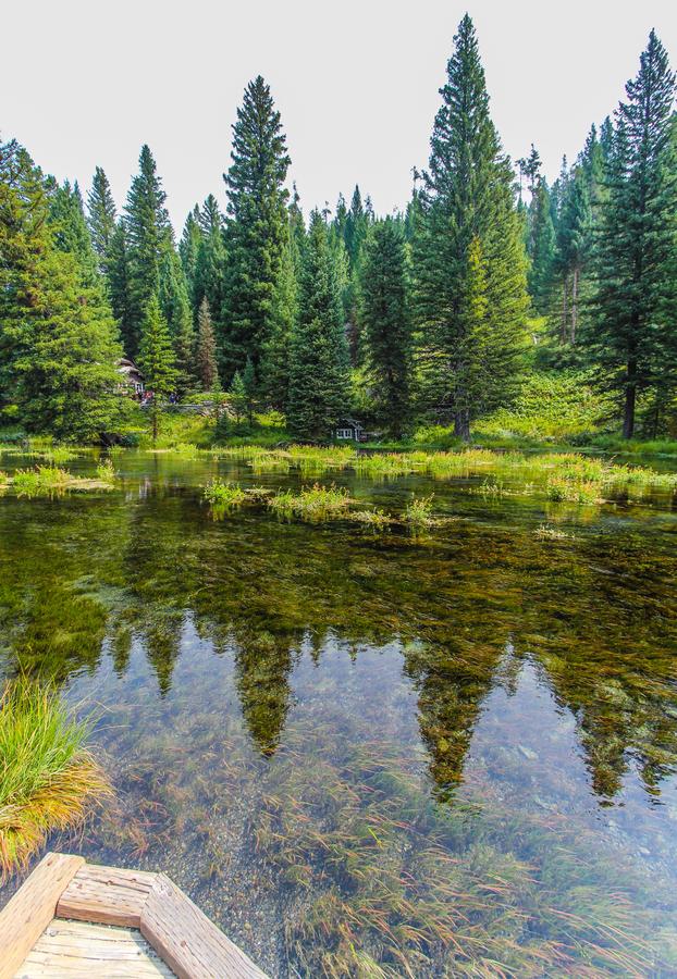 Timbers At Island Park - thumb 3