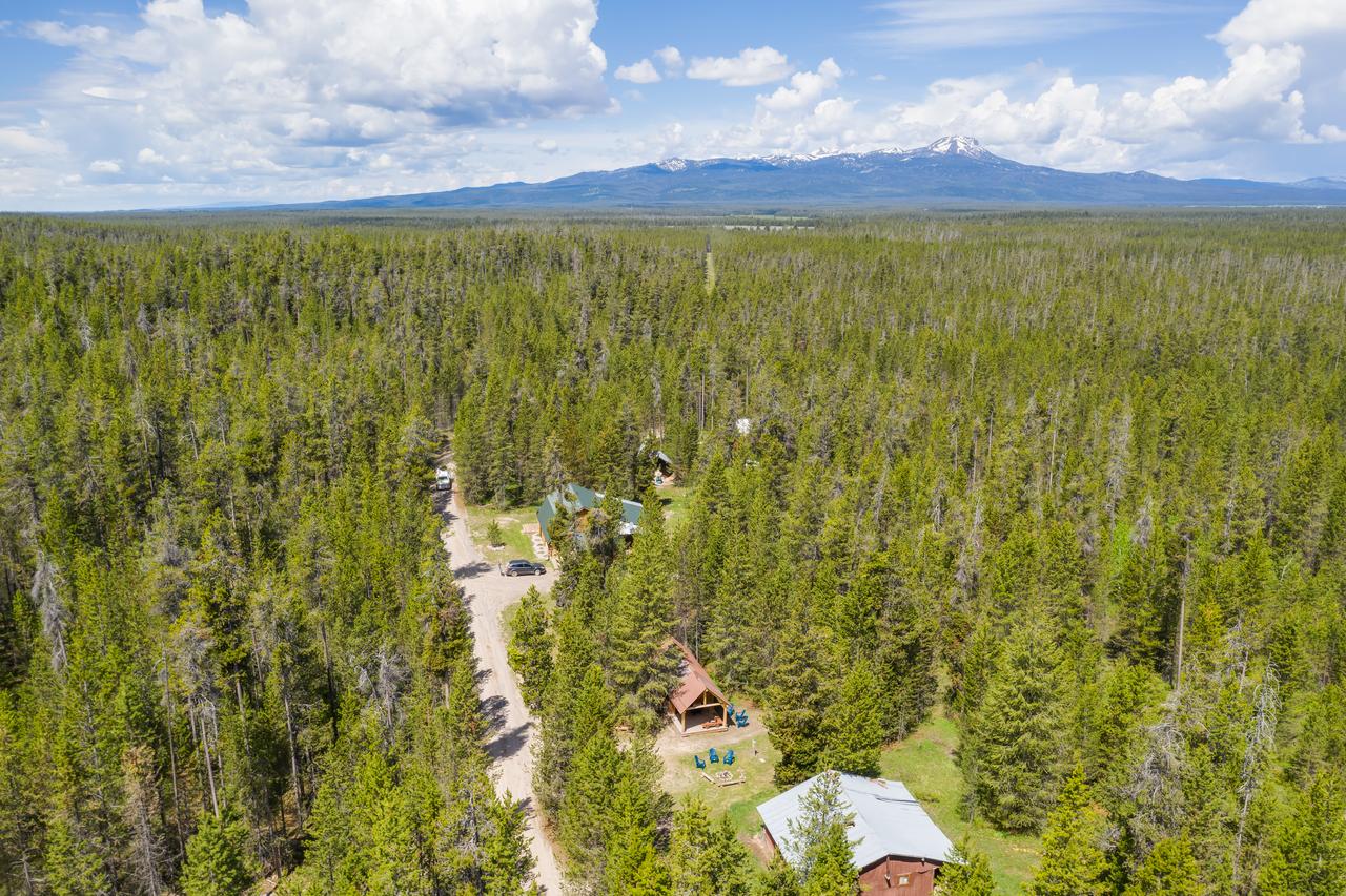 Little Fox - thumb 35