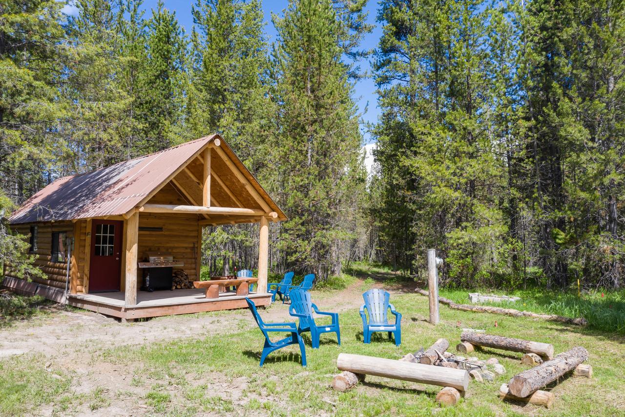 Little Fox - thumb 38