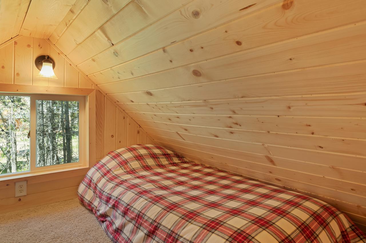 Little Fox - thumb 25