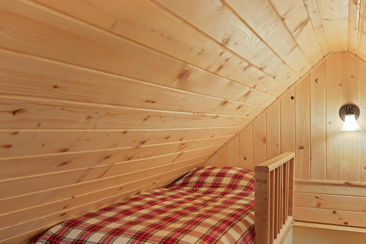 Little Fox - thumb 27