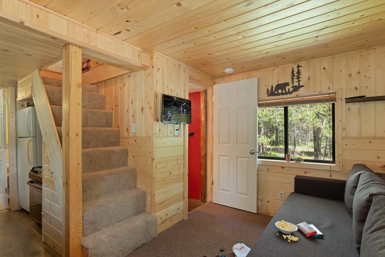 Little Fox - thumb 22