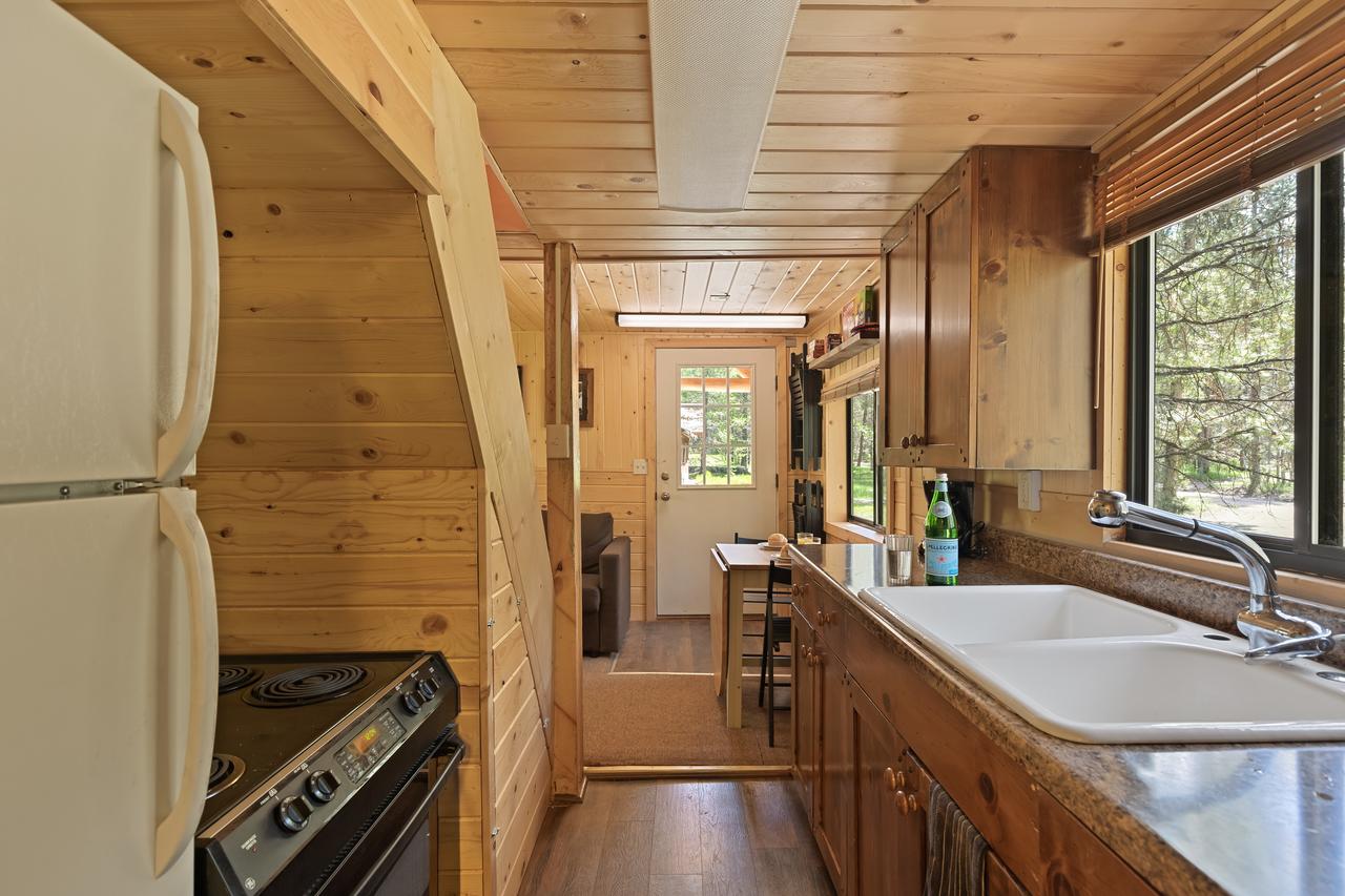 Little Fox - thumb 12