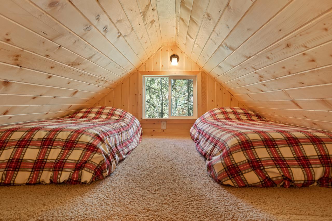 Little Fox - thumb 26