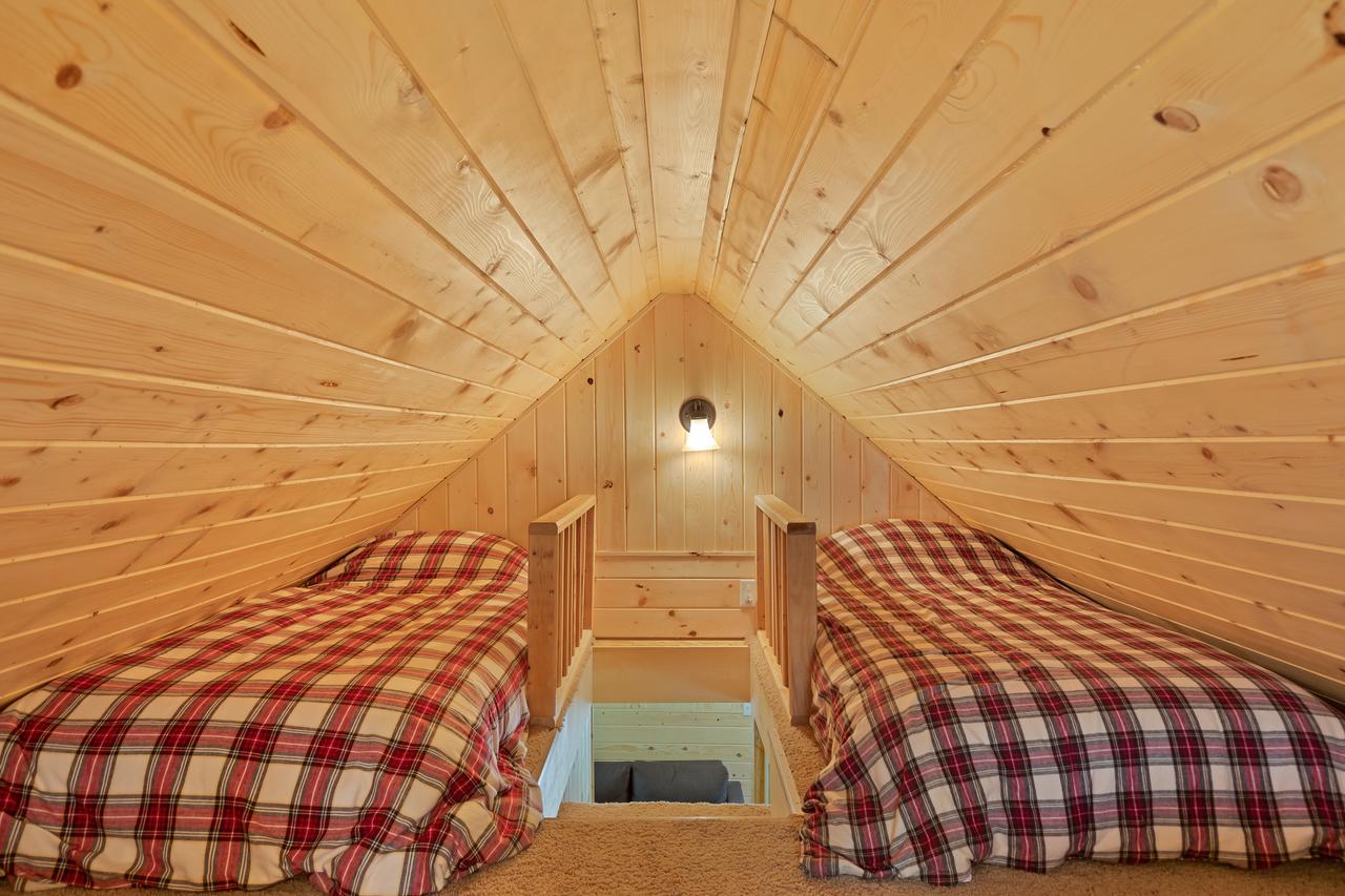 Little Fox - thumb 23