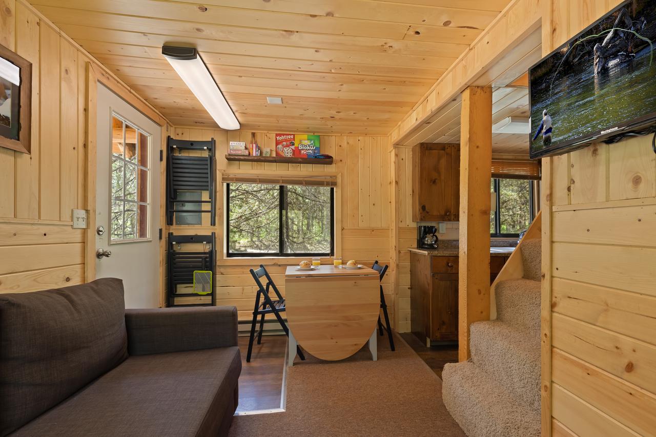 Little Fox - thumb 2