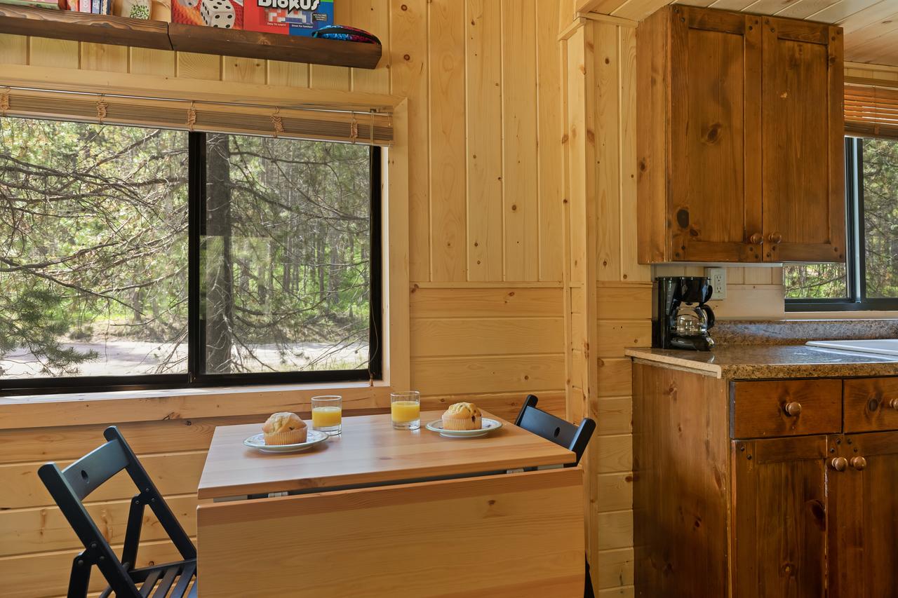 Little Fox - thumb 7