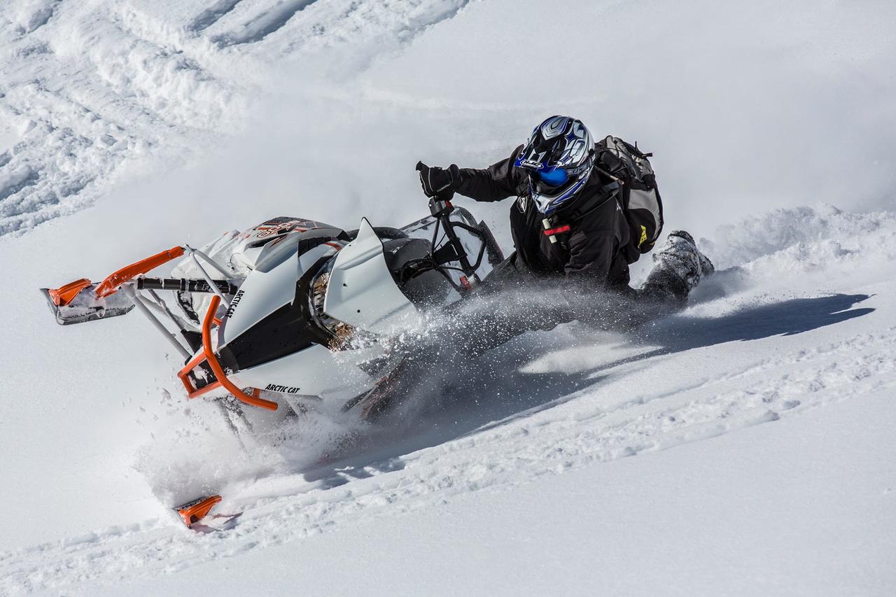 Little Fox - thumb 5