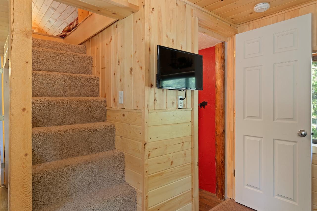 Little Fox - thumb 16