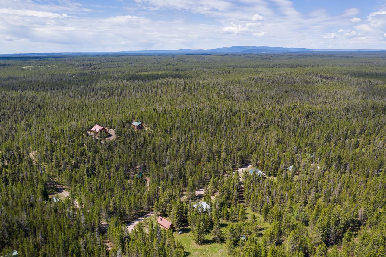 Little Fox - thumb 40