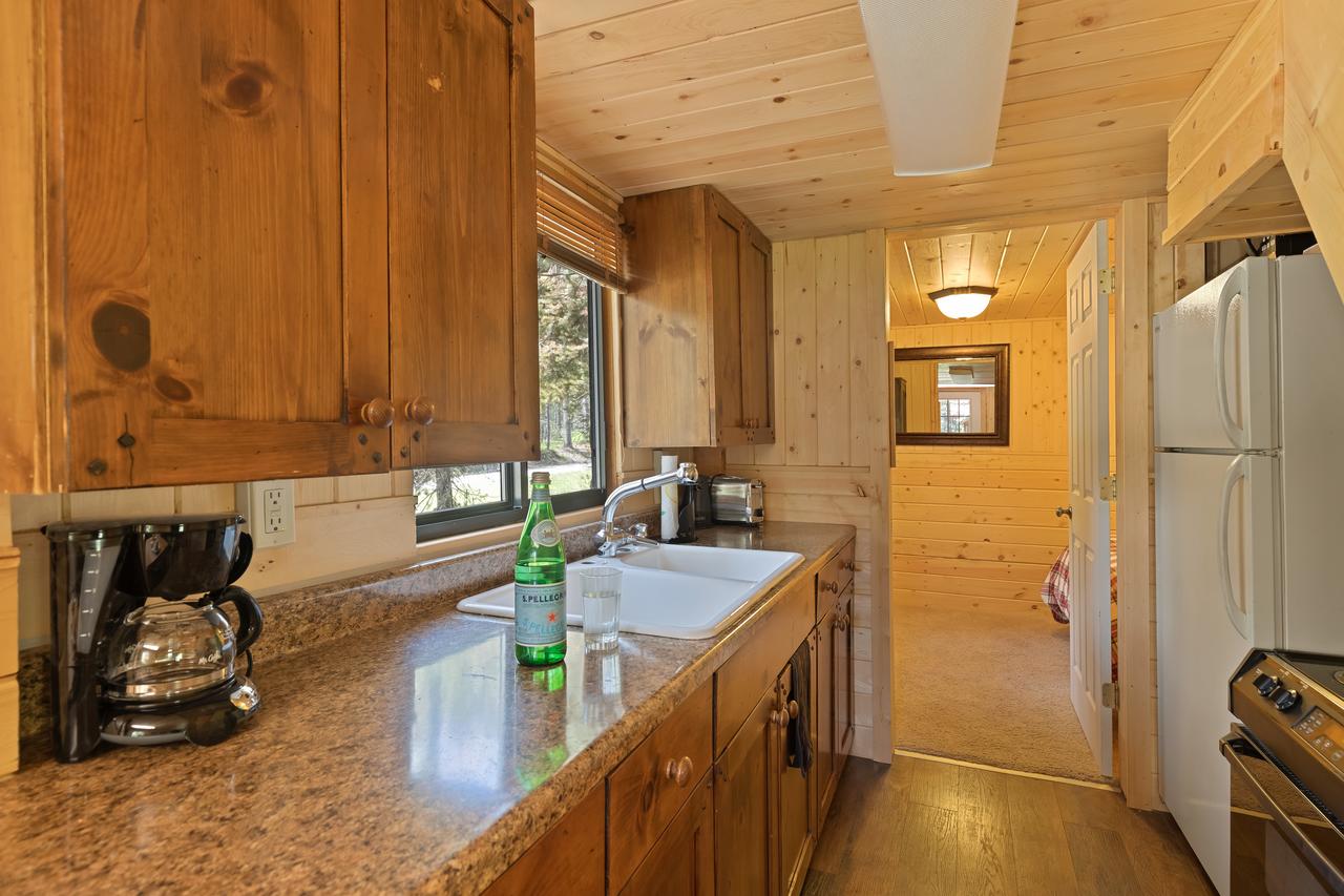 Little Fox - thumb 4