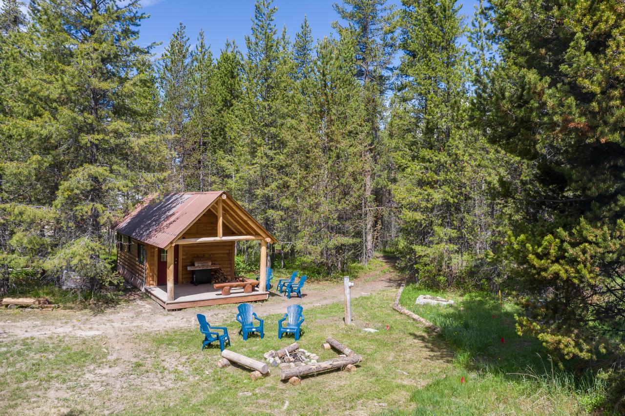 Little Fox - thumb 42