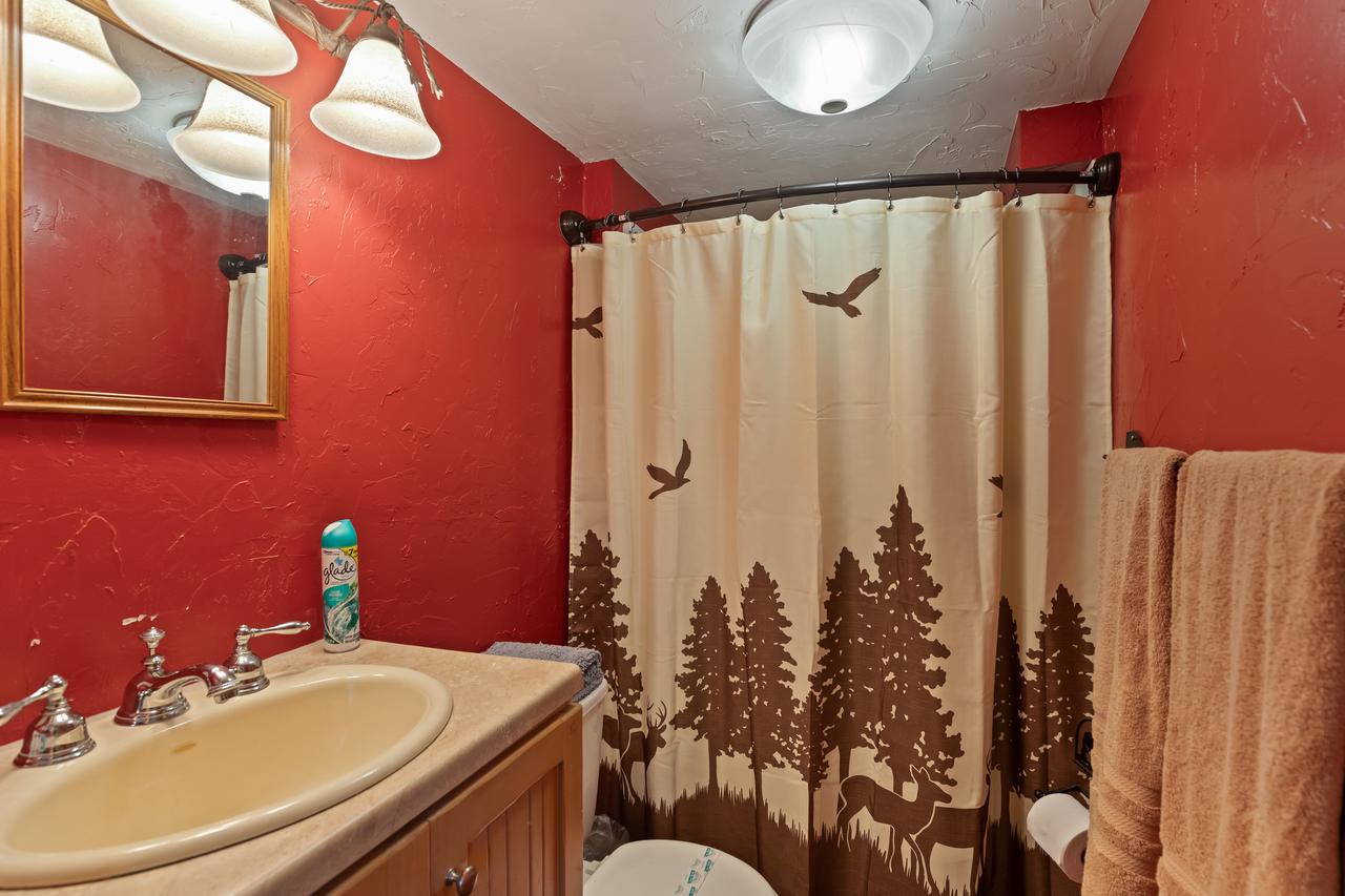 Little Fox - thumb 17