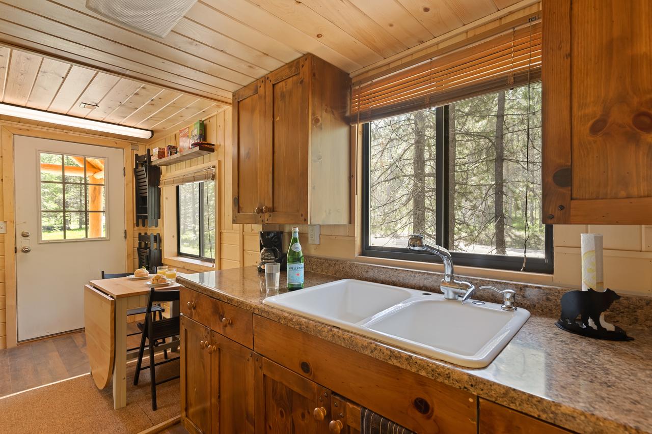 Little Fox - thumb 13