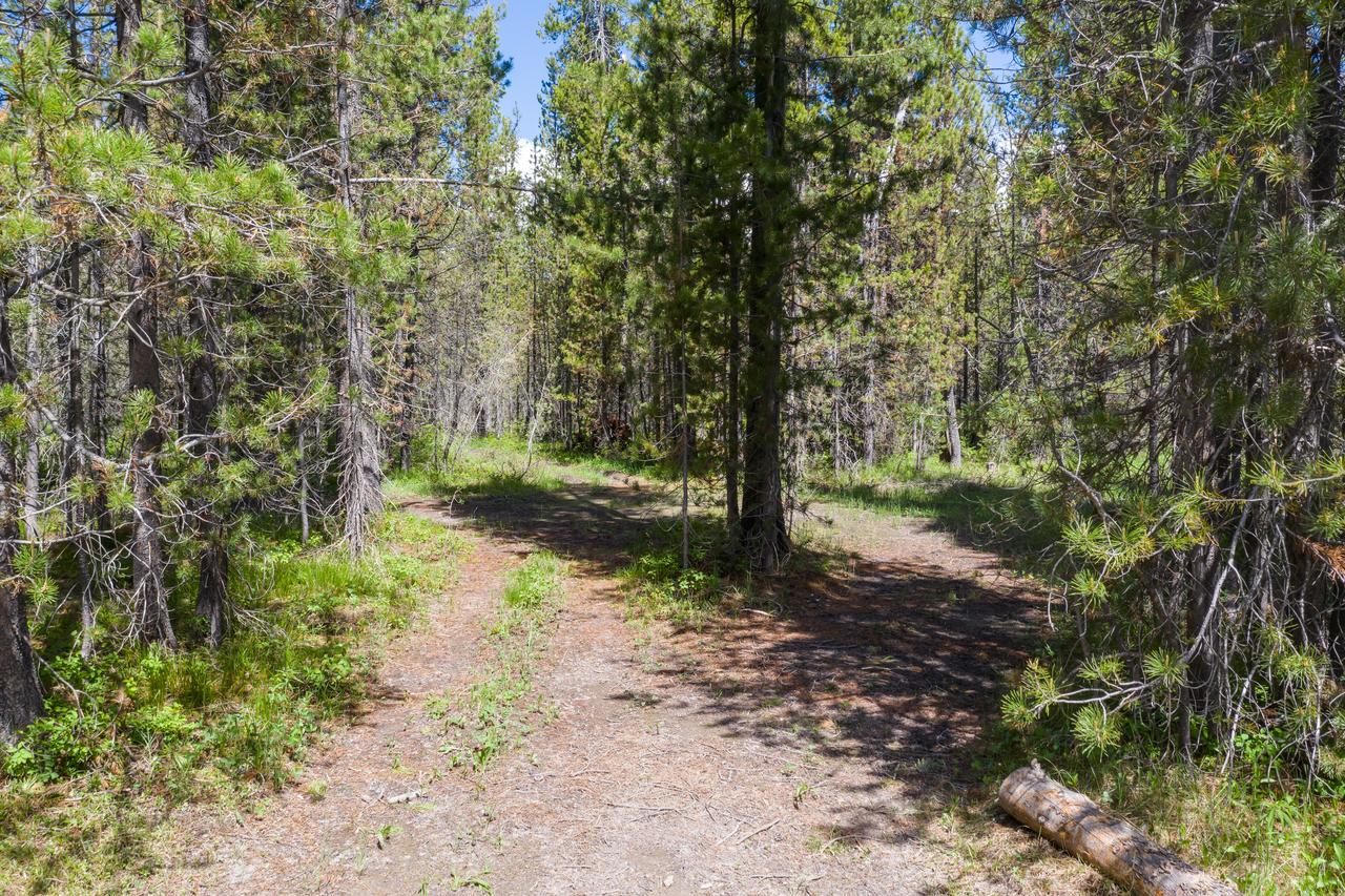 Little Fox - thumb 34