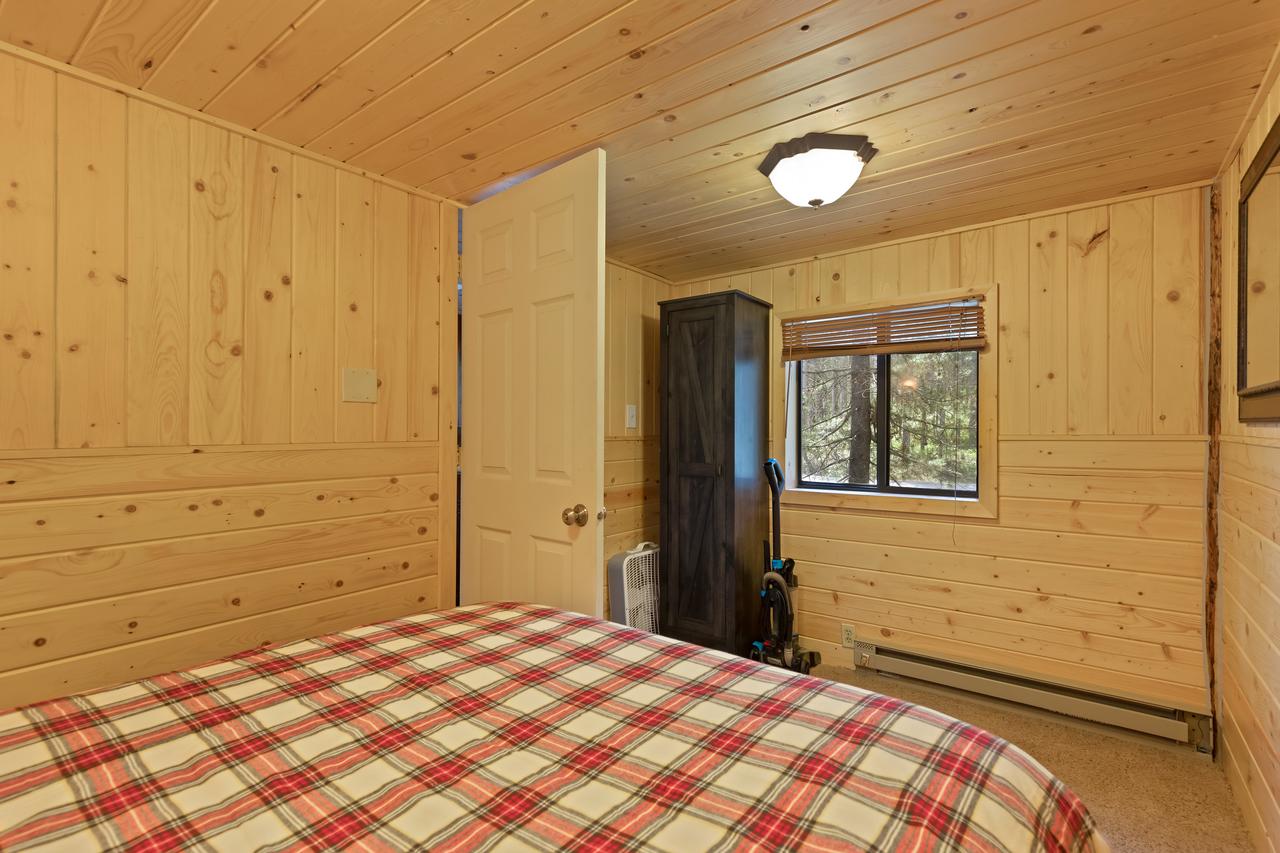 Little Fox - thumb 10