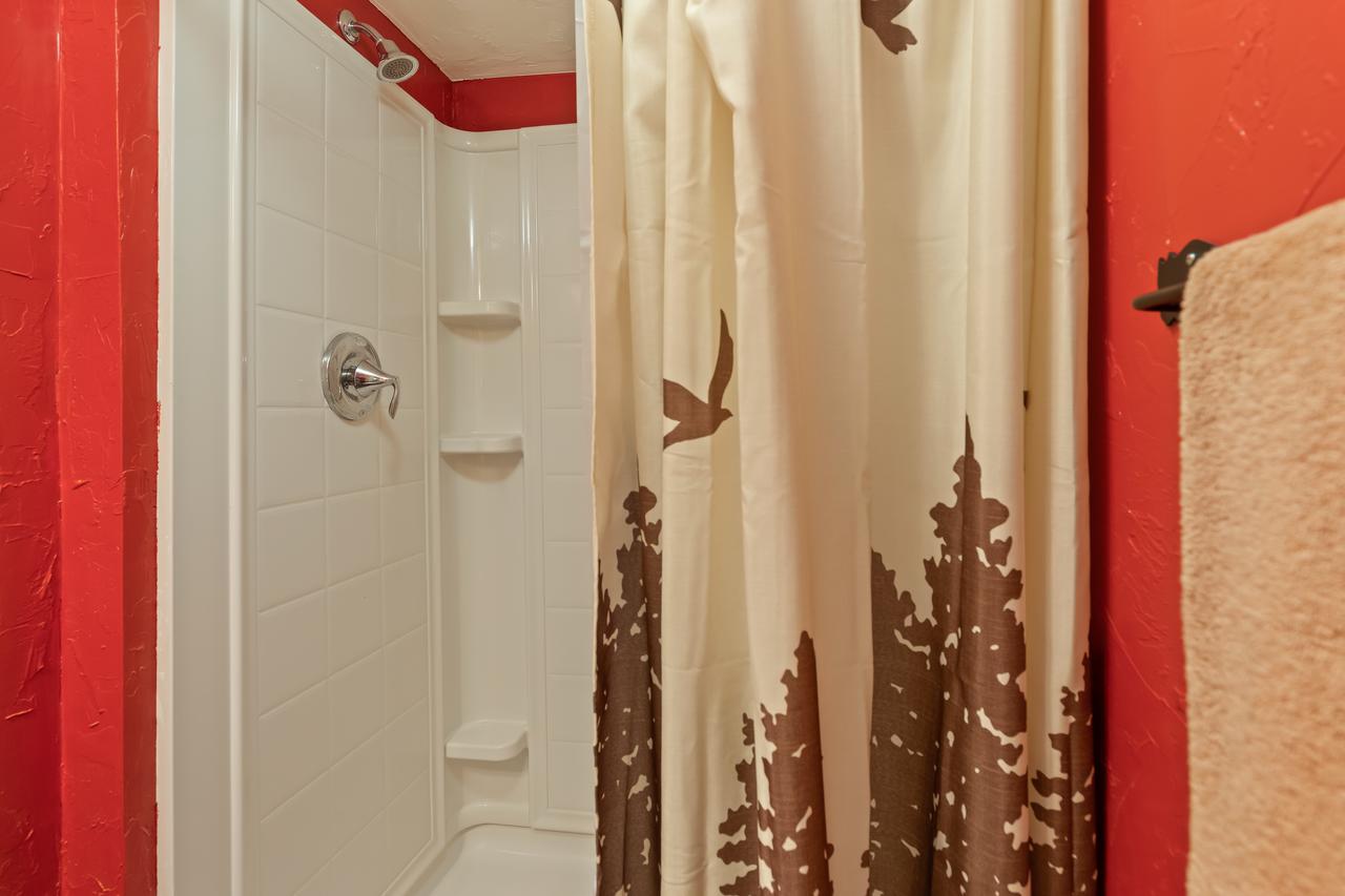 Little Fox - thumb 18