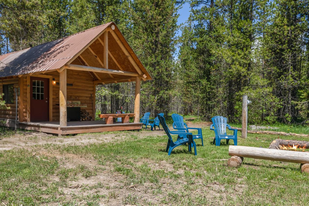 Little Fox - thumb 37