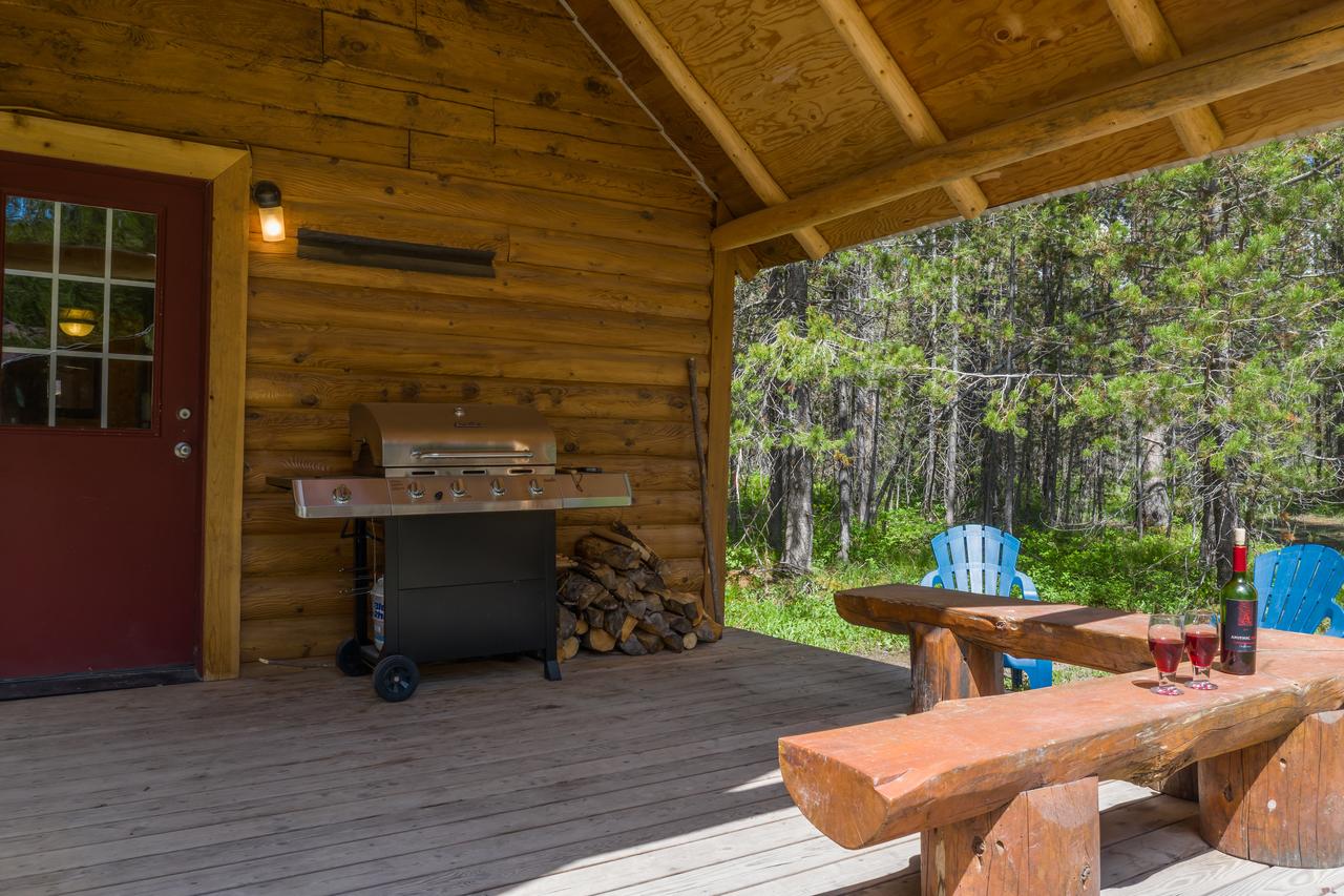 Little Fox - thumb 32