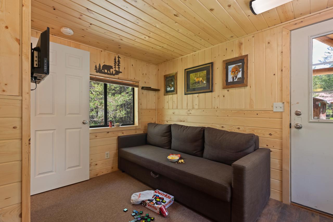 Little Fox - thumb 15