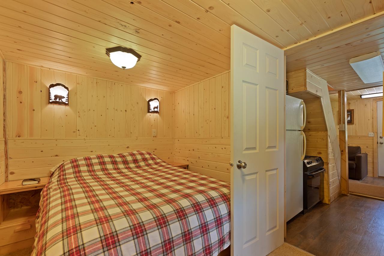 Little Fox - thumb 11