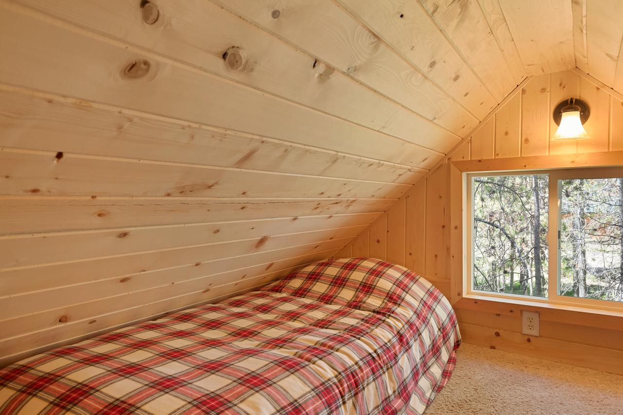 Little Fox - thumb 24