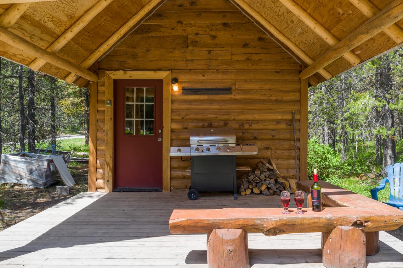 Little Fox - thumb 33